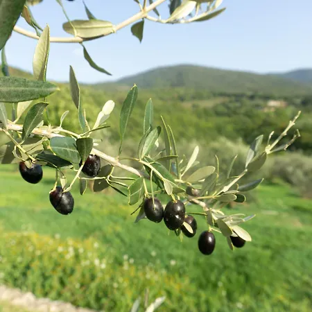 Casa Zampani Massa Martana