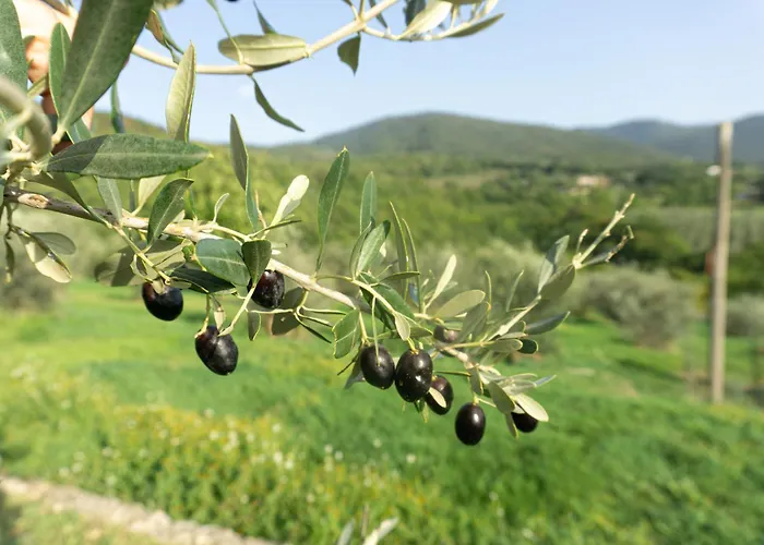 Casa Zampani Massa Martana